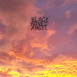 Black Boned Angel (NZ) : The End